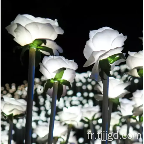 Lumière de fleurs artificielles de rose